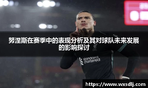 努涅斯在赛季中的表现分析及其对球队未来发展的影响探讨