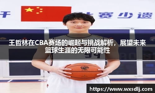 王哲林在CBA赛场的崛起与挑战解析，展望未来篮球生涯的无限可能性