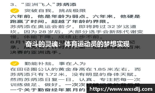 绿茵直播